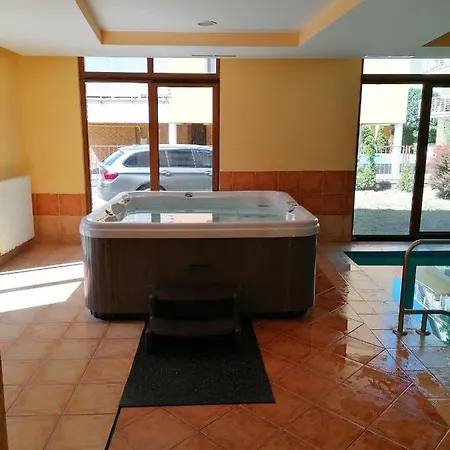 Ildiko Wellnes شقة شيوفوك